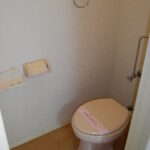 ■礼金0　■フリーレント1ヶ月　■水道代無料(井戸水)　■全室洋間にリフォーム済　大橋ハイツ　(2階角部屋)　■維新公園近く 画像9